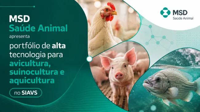 MSD Saúde Animal apresenta portfólio de alta tecnologia para avicultura, suinocultura e aquicultura no SIAVS