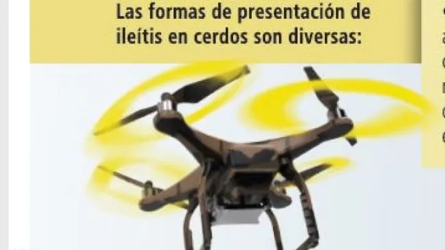 ¿Cuáles son las principales características de la forma aguda en la Ileítis? 