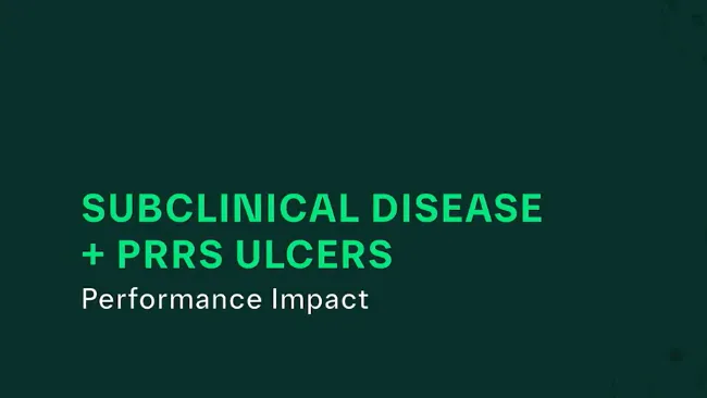 The Hidden Cost of Disease​