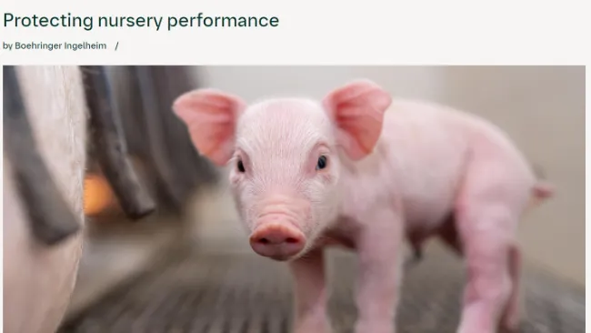 Protecting nursery performance