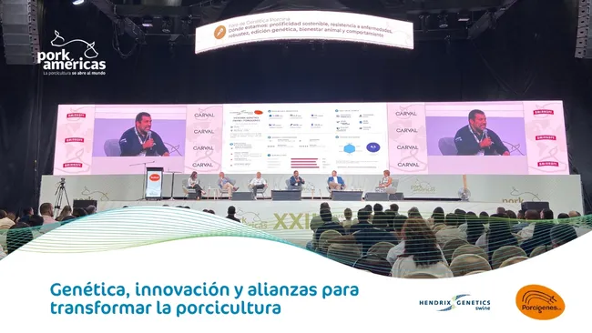 Hendrix Genetics Swine y Porcigenes fortalecen su alianza en PorkAméricas 2026 para impulsar una nueva etapa de la genética porcina en Colombia