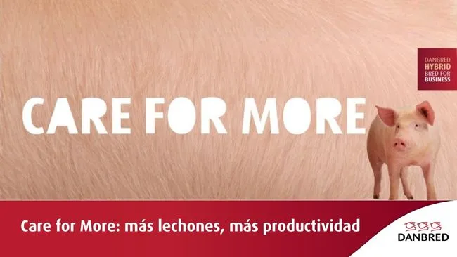Care for more: el potencial de la DanBred Hybrid