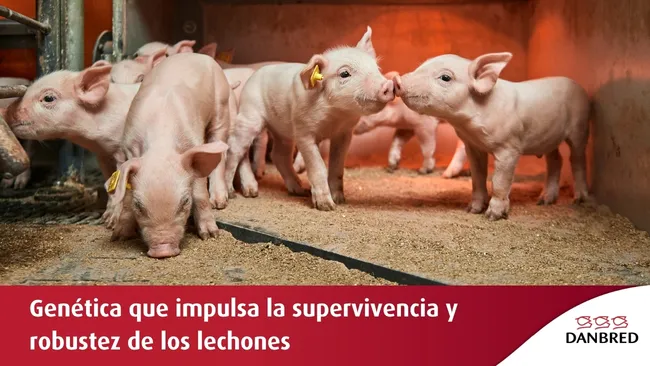 Genética que mejora la robustez y la supervivencia