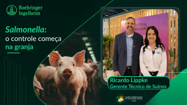 [SIAVS 2026 | Boehringer Ingelheim] Salmonella: o controle começa na granja