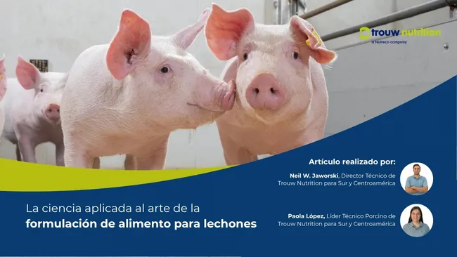 La ciencia aplicada al arte de la formulación de alimento para lechones