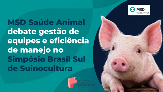 MSD Saúde Animal debate gestão de equipes e eficiência de manejo no Simpósio Brasil Sul de Suinocultura