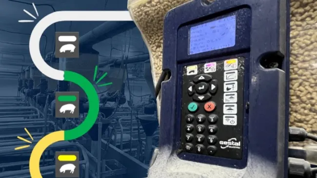 5 lưu ý trong quản lý và chiến lược cho ăn giúp hạn chế ảnh hưởng của biến động nhiệt độ: Giảm stress nhiệt trong chuồng đẻ
