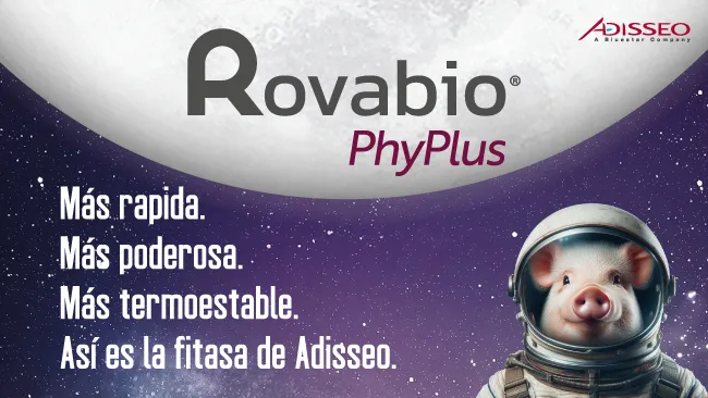 Fósforo bajo presión: obtener más valor del alimento con Rovabio Phyplus en un mercado de fosfatos más restringido 
