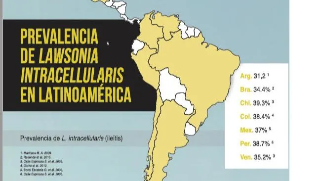 La Ileítis: una enfermedad silenciosa y descontrolada