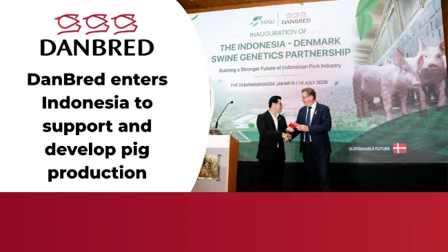 DanBred enters Indonesia to support and develop pig production
