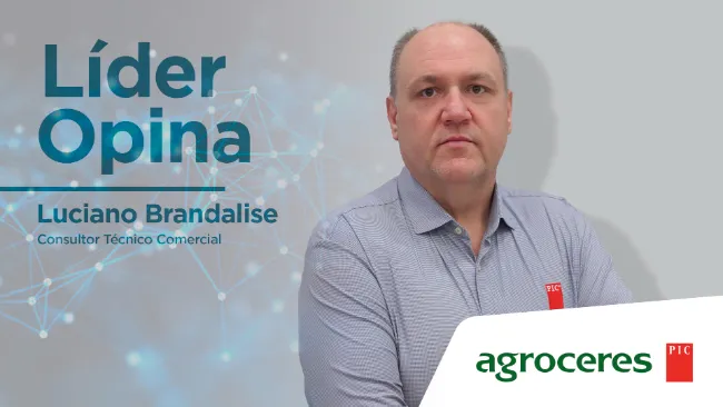 [Líder Opina] O benefício econômico das leitoas de reposição negativas para Mycoplasma hyopneumoniae
