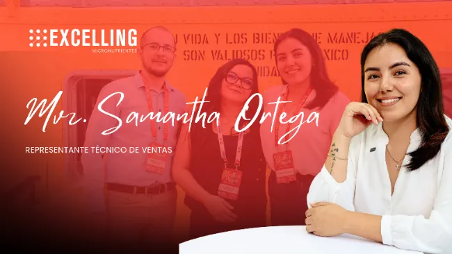 Innovación nutricional: de cubrir requerimientos a generar eficiencia en la producción porcina