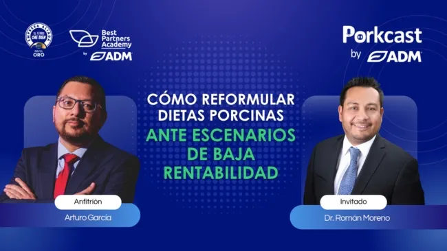 PorkCast #25: Cómo reformular dietas porcinas ante escenarios de baja rentabilidad