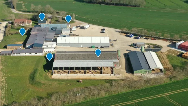 VIRTUAL TOUR Enhancing the value of immunocastration