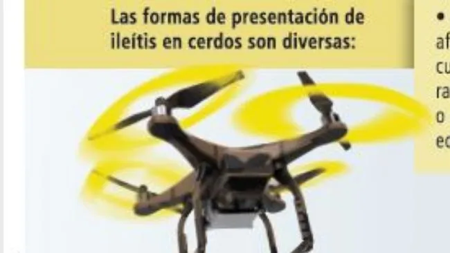 ¿Cuáles son las principales características de la forma crónica de la Ileítis? 