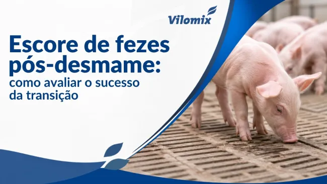 Escores de fezes pós-desmame: Como avaliar o sucesso da transição