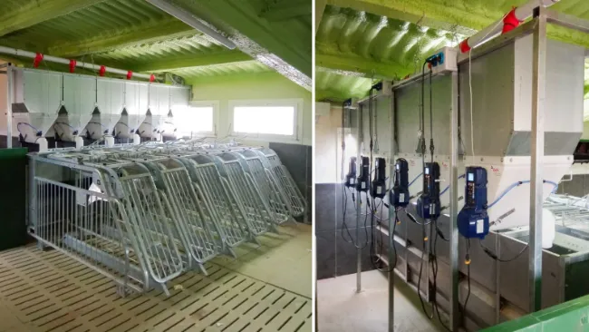 Nuevo proyecto: instalación y puesta en marcha de boxes de autocaptura en una gestación grupal con dosificadores Gestal 3G2XM
