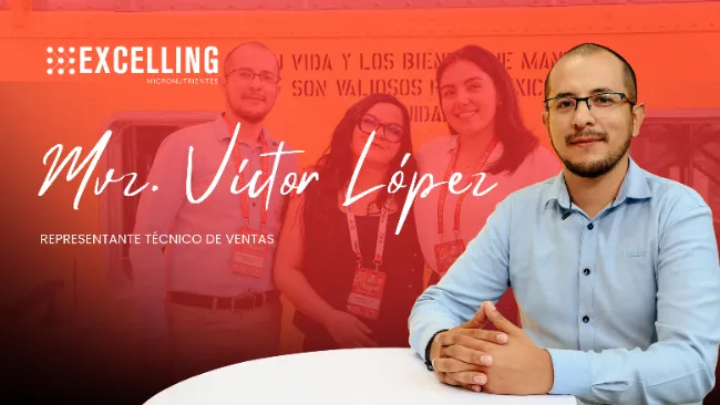 Soluciones personalizadas: el valor del conocimiento técnico en la producción porcina