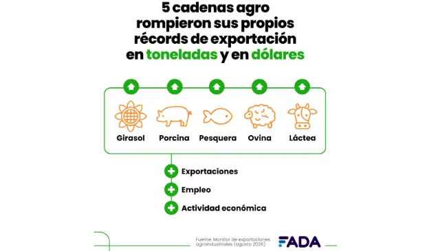 Más de la mitad de las exportaciones argentinas son del agro: el girasol y porcinos ¡con records!