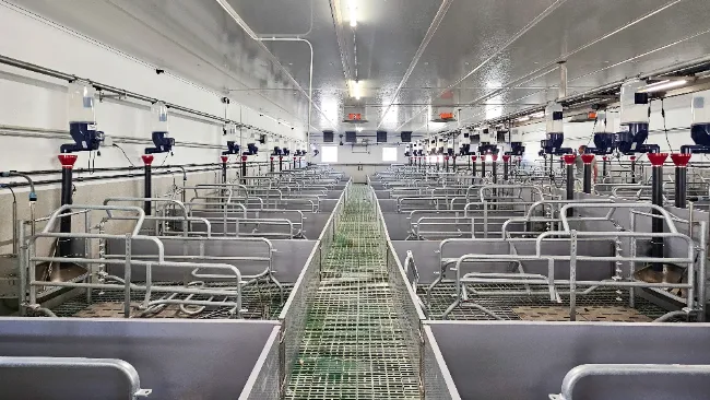 Nueva instalación Gestal Focus maternidad