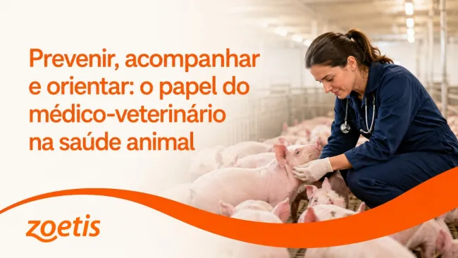 Prevenir, acompanhar e orientar: o papel do médico-veterinário na saúde animal