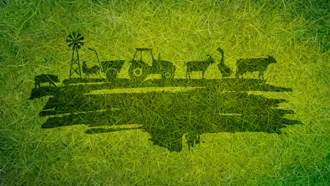 Parlamento Europeu: Comissão de Agricultura propõe simplificar a Directiva Emissões para a pecuária
