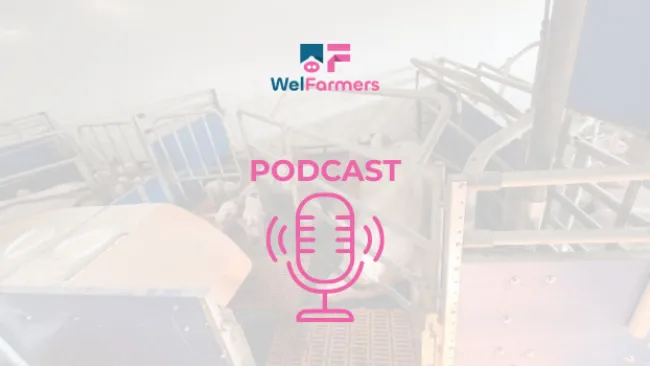 PODCAST Happy tail