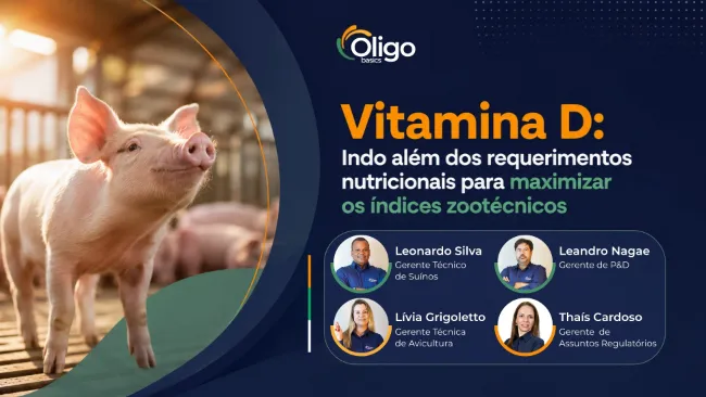 Vitamina D: Indo além dos requerimentos nutricionais para maximizar os índices zootécnicos