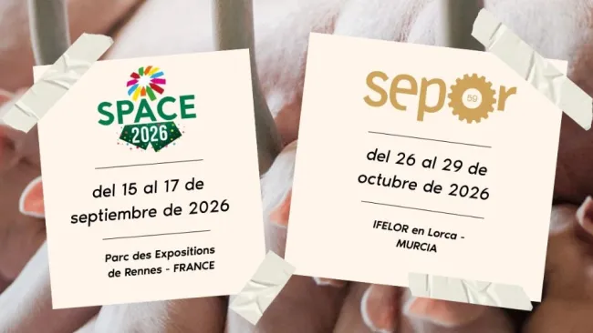 Aplicaciones epidemiológicas del uso de lenguas para monitorización de PRRSV