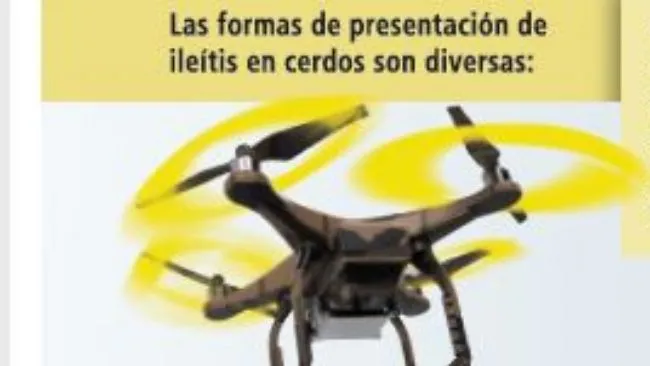 ¿Cuáles son las principales características de la forma subclínica de la Ileítis?