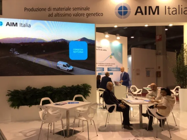 333 visita AIM Italia