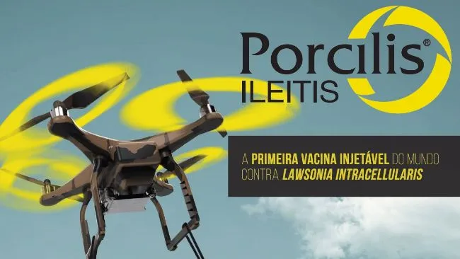 Você conhece os principais diferenciais da vacina Porcilis Ileítis?