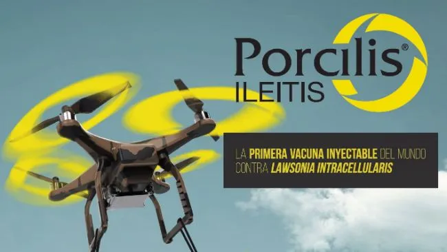  ¿Sabes cuáles son los principales diferenciales de la vacuna Porcilis Ileítis?