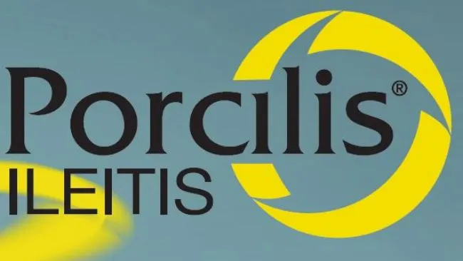 Você sabe o porquê da variação na prevalência da Lawsonia intracellularis nos rebanhos suínos?