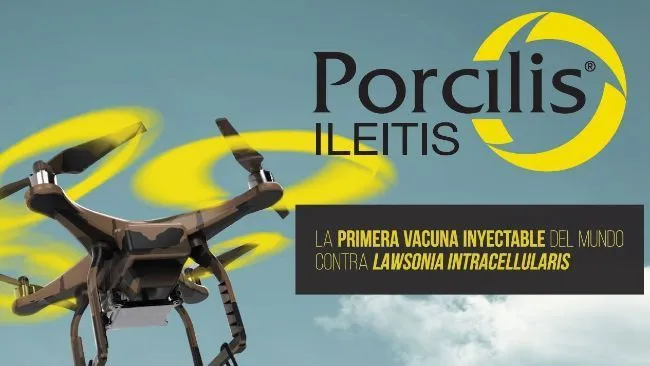 ¿Conoces las recomendaciones para una vacunación segura y efectiva con Porcilis® Ileitis?