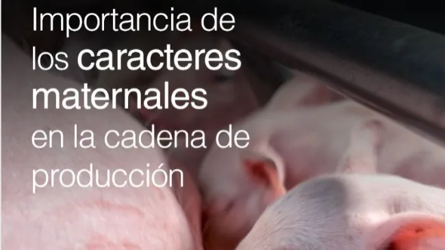 La importancia en la selección de los caracteres maternales 