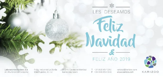 Felices fiestas y próspero 2019
