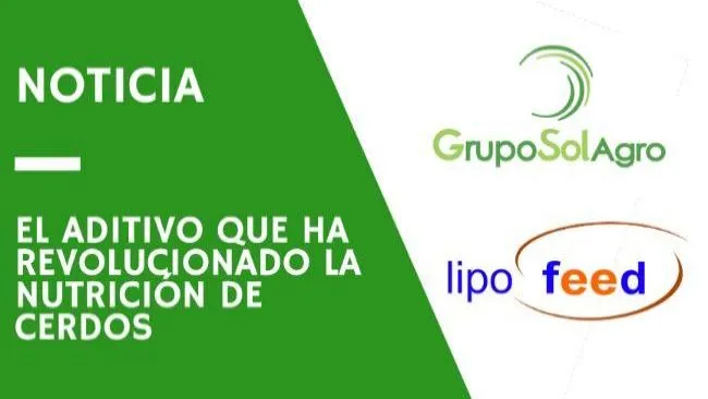 Lipofeed, el generador de glucosa que está revolucionando la nutrición 