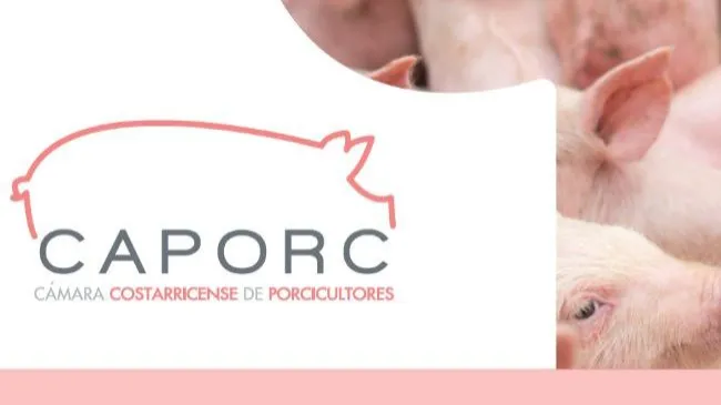 Costos de producción de granjas en Costa Rica