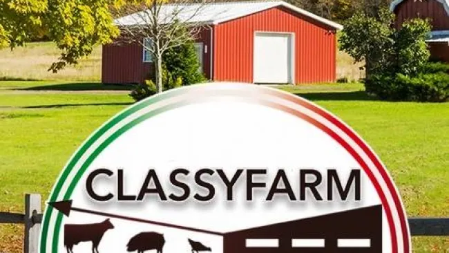 Classyfarm, parte la sperimentazione nei primi settori attivi | @nmvi Oggi
