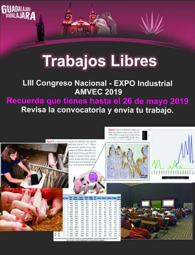 ¿Aún no haz enviado tu Trabajo Libre para el LIII Congreso Nacional ...