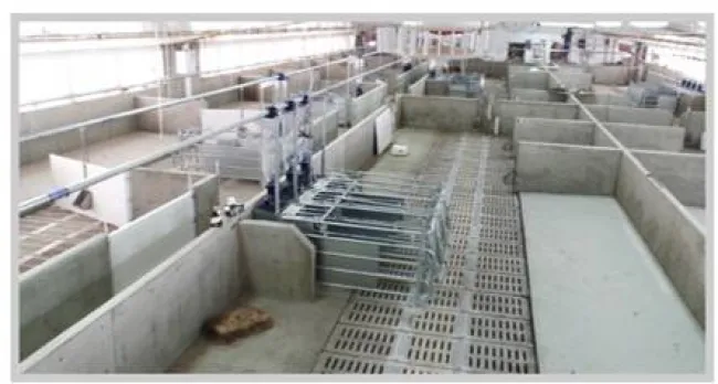 Ti interessa conoscere un sistema innovativo di alimentazione per le s...
