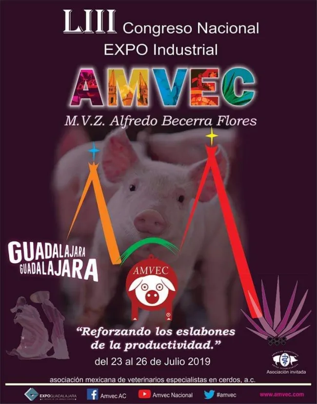 Faltan muy pocos días!!! Registrate en www.amvec.com