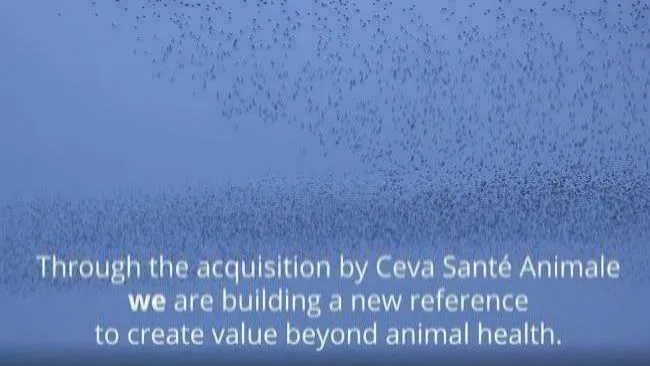 Together, beyond animal health