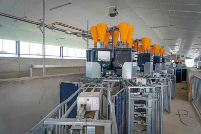 Agrisys is completing the installation of the complete feeding technol...