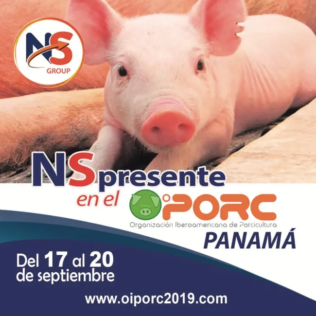 NS en OIPORC