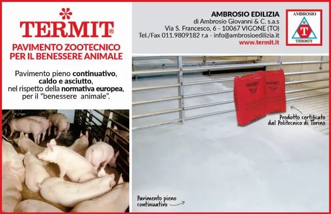 El piso TERMIT para pocilgas, mejora las condiciones ambientales del a...