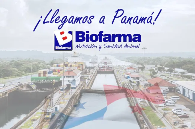 ¡Seguimos creciendo en Latinoamérica!