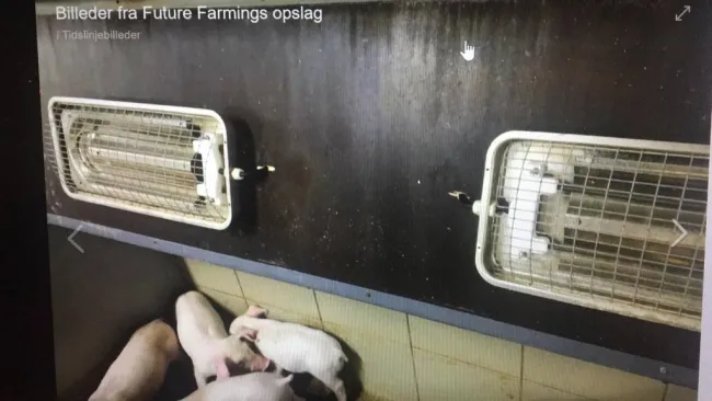 Non mi hai ancora provato?? Cosa aspetti! Ottima anche per lo svezzame...