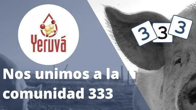 Yeruvá se une a la comunidad profesional 333 en Latinoamérica